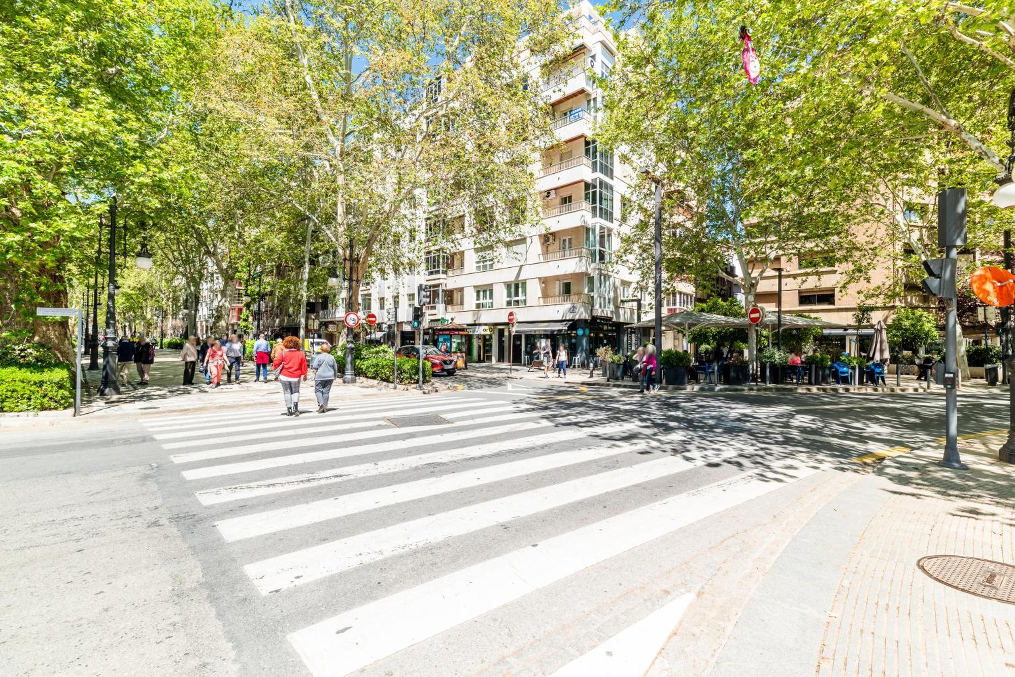 Encantador Piso Pleno Centro A Pie De Semana Santa Y Cerca De La Alhambra Granada Buitenkant foto